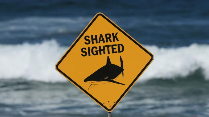 Spearfisher mauled in Australia’s second fatal shark attack in a week