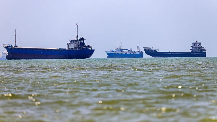 Scientists warn of possible invasive species superspreader event due to stalling near Strait of Hormuz