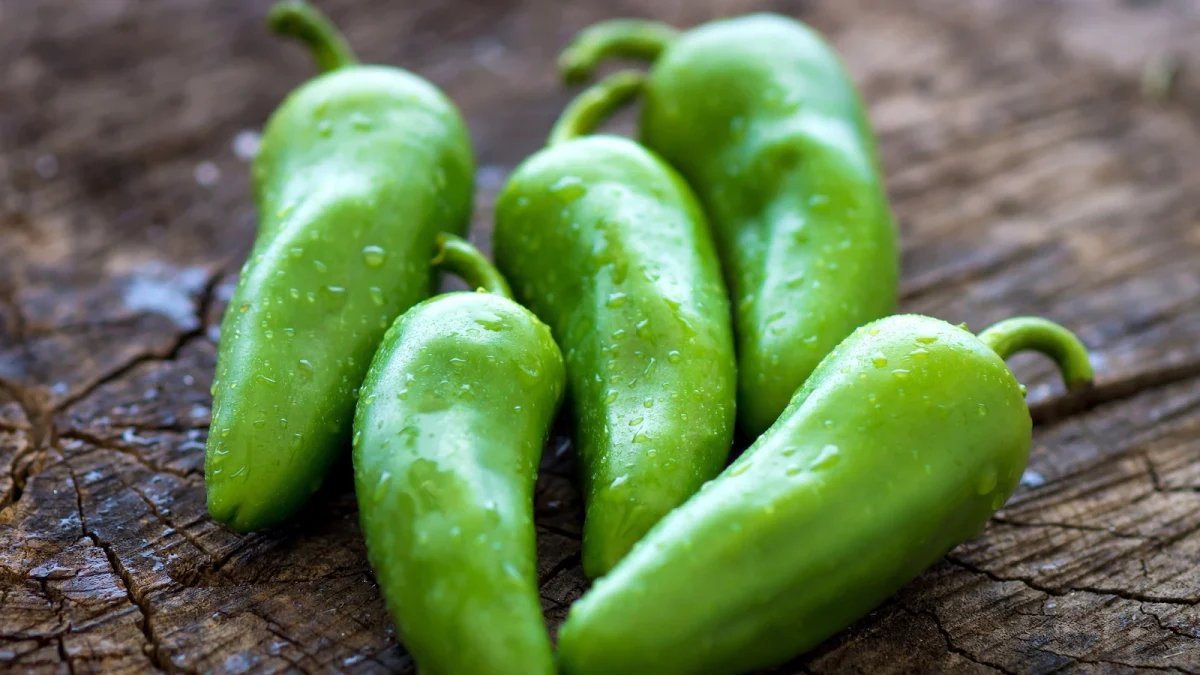 jalapeno-as-jef-260805_1786018834310_hpMain_16x9