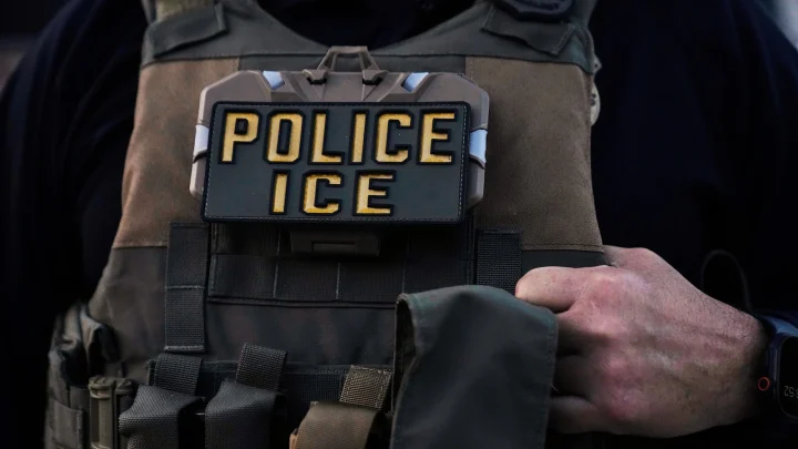 ICE whistleblower alleged agency was shortcutting vetting process for new hires